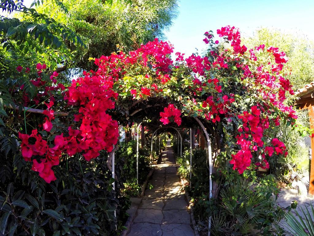 3Sirene Villa ชากกา ภายนอก รูปภาพ